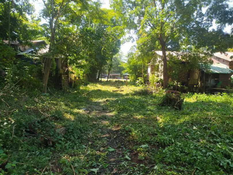 village land2