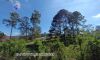 Kalaw Property