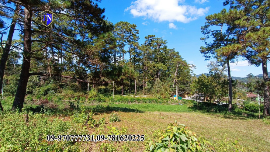 Kalaw Realtor