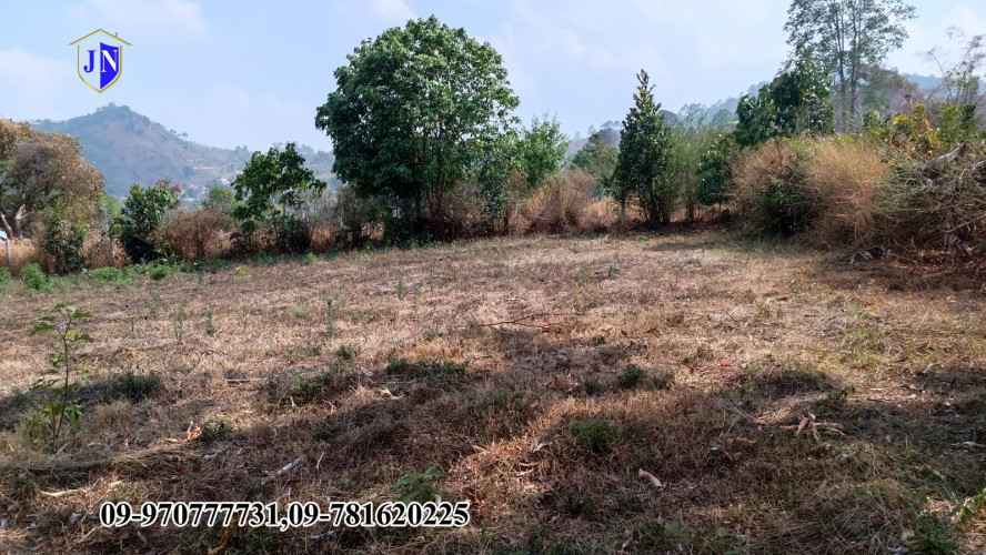 Kalaw Property